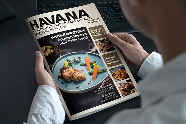 HAVANA(图1)
